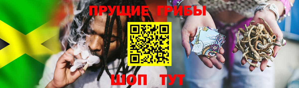 Псилоцибиновые грибы Magic Shrooms  Вход с VPN  Набережные Челны 